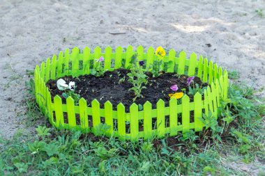 Narcissuses ve dekoratif beyaz çit yeşil çiçek yatak