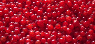 frenk üzümü olgun ve tatlı çilek en iyi görünümü arka plan.