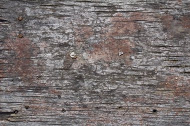 Eski rustik ahşap yüzey arka planı gri