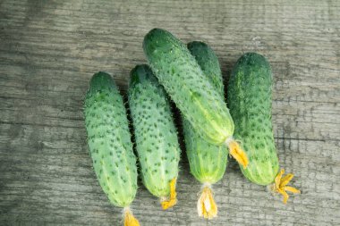 Taze yukarıdan rustik koyu ahşap üzerine salatalık dekapaj hasat.