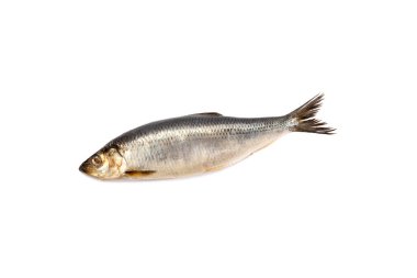 Kurutulmuş tuzlu balık çubukları beyaza izole edilmiş..