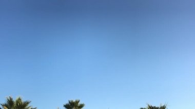 panoramik mavi gökyüzü ve avuç içi