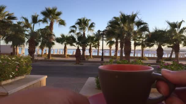 Kaffeetasse mit Blick auf Meer und Palmen — Stockvideo