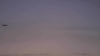 turuncu bir açık günbatımı gökyüzü arka plan üzerinde yolcu uçağı