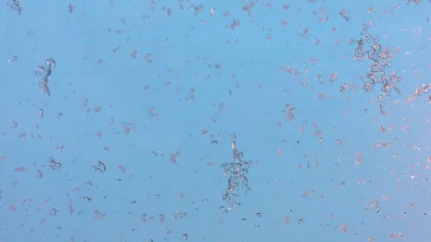 flocons de neige tombent sur le verre et fondent 