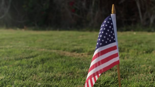 USA flagga på grönt gräs. Amerikanska flaggan — Stockvideo