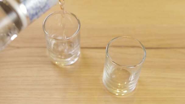 Két pohár ömlött egy üveg vodka — Stock videók