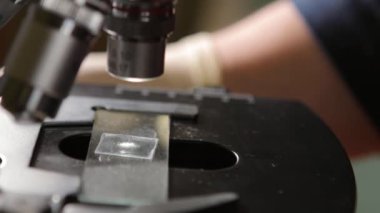 Bilim adamı numune mikroskop ile eğitim