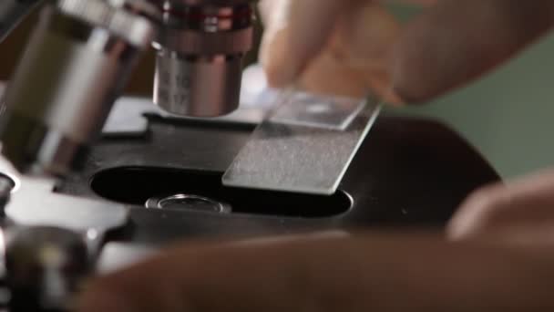 Wetenschapper studeren exemplaar met een Microscoop — Stockvideo