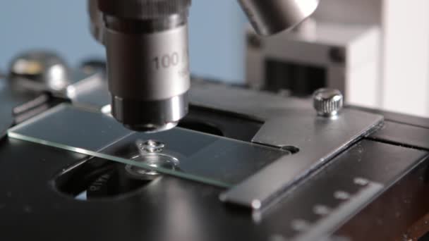 Wetenschapper studeren exemplaar met een Microscoop — Stockvideo