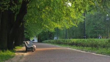 Akşam parkı. Yedek kulübesi Toprak yolu yeşil ağaçları. bir ışık huzmesi
