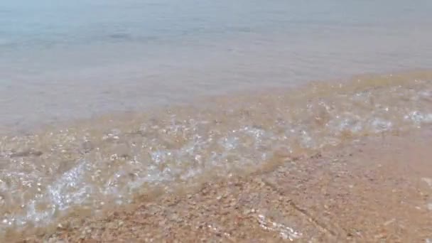 Sea waves on shore small foam. Sea waves on sand shore panoramic — Stock Video