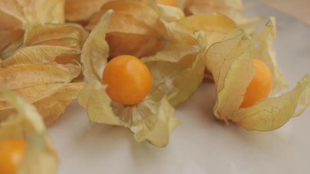 Close-up van sinaasappelkaap fysalis vruchten. — Stockvideo