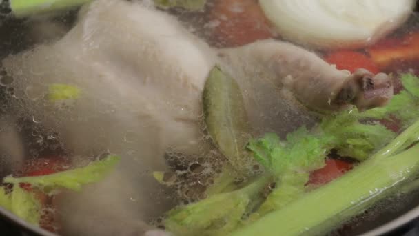 Kaldu ayam dengan sayuran mendidih dalam panci — Stok Video