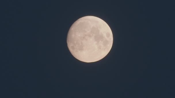 Full moon orange color over blue sky. — Stock Video