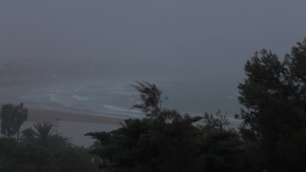 Trees end Mediterranean Sea In Strong Wind And Rain — Stock Video