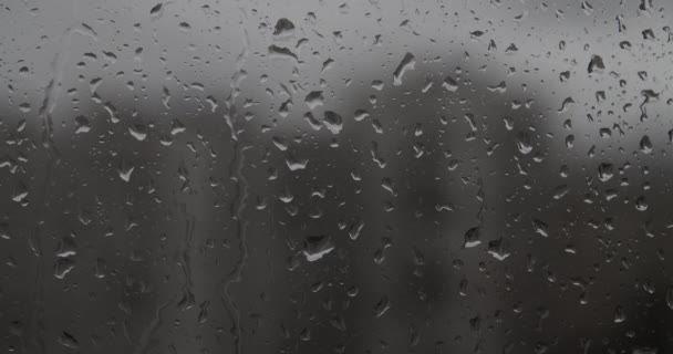 Real rain drops sliding on window glass — Stock Video