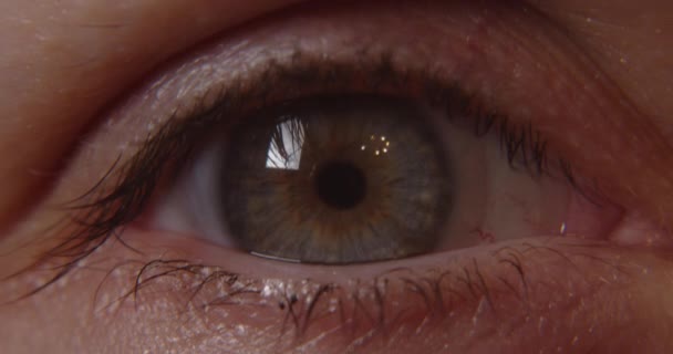 Макро-снимок с открытым глазом — стоковое видео