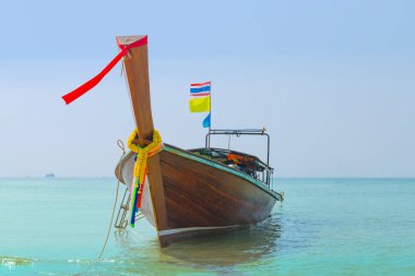 Geleneksel uzun kuyruk Tayland domuzu Crabi Beach