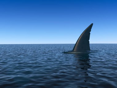 Köpekbalığı yüzgeci deniz su yüzeyi üzerinde. Tehlike kavram. 3D render.