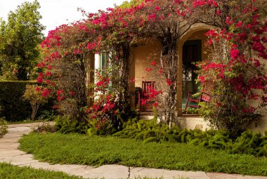 Santa Barbara 'nın verandasında çiçek açan bir sarmaşıkla