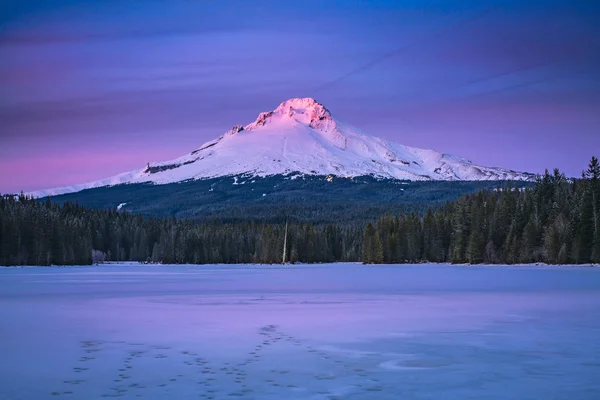 Pico Hood Foi Iluminado Pelo Último Minuto Pôr Sol Todos — Fotografia de Stock