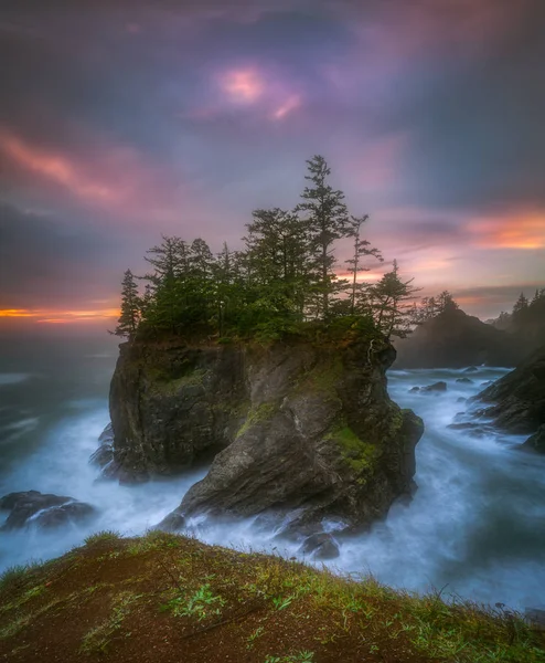 これは日没の時間に撮影したオレゴン州の海岸の木と大きな海スタックの写真 — ストック写真