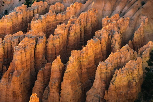 Fileiras Hoodoos Sol Manhã Bryce Canyon National Park — Fotografia de Stock