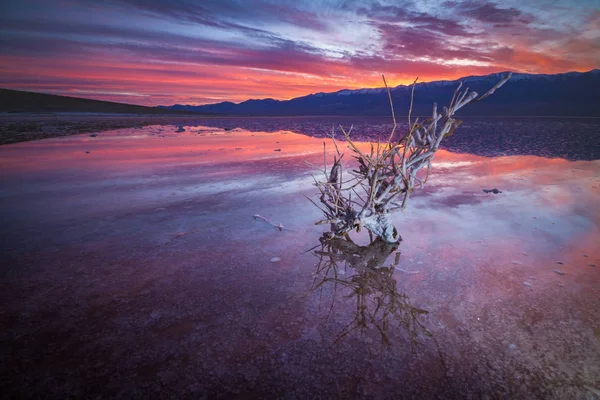 Esta Una Fotografía Del Parque Nacional Del Valle Muerte Después — Foto de Stock