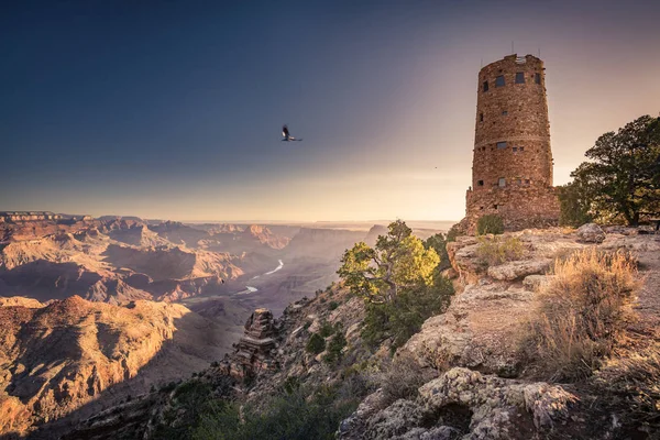 Torre de vigilancia del Gran Cañón y aves voladoras al sol de la mañana — Foto de Stock