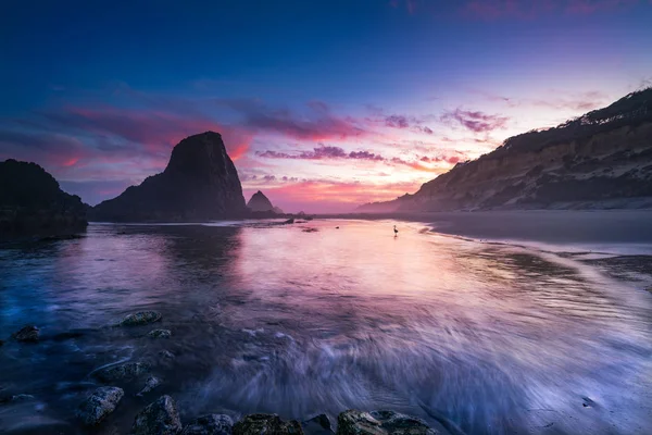 Costa de Oregón al amanecer con una sola garza azul —  Fotos de Stock