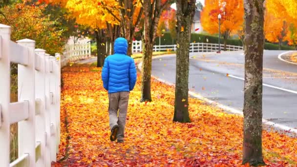 これは歩道を歩いている男の4Kの映像です秋の葉が落ちている間 — ストック動画