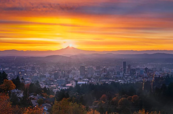 Portland şehir merkezinde sonbahar yeşillikleri ince sisli, parlak gündoğumu ve renkli bulutlarla.