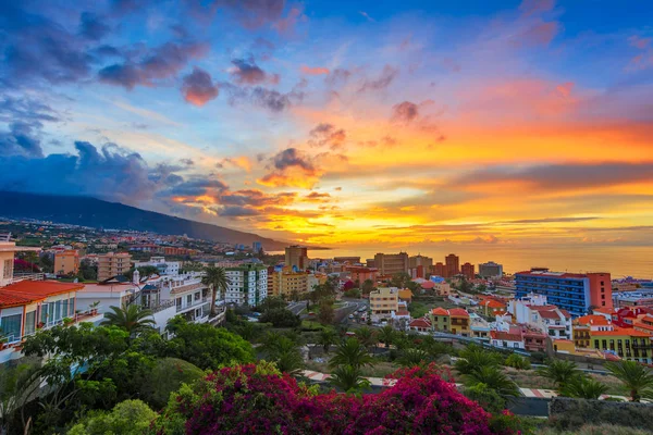 Puerto de la Cruz, Tenerife, Kanarya Adaları, İspanya: city günbatımı zamanı adlı üzerinden görünüm — Stok fotoğraf