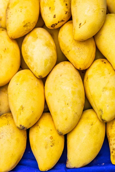 Krabi, Tajlandia: żółte mango wyświetlane na stole rynkowym Zdjęcia Stockowe bez tantiem