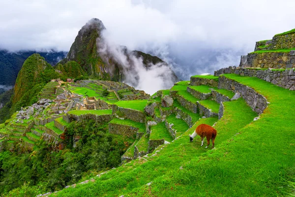 Μάτσου Πίτσου, Κούσκο, Περού: Επισκόπηση του χαμένου Inca της πόλης Μάτσου Πίτσου με την κορυφή Γουέινα Πίτσου Εικόνα Αρχείου
