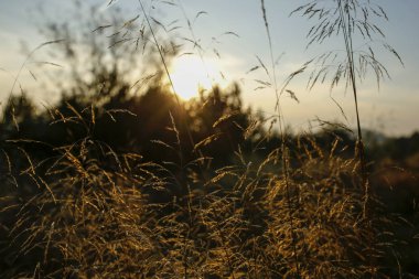 batan güneşin aydınlatmalı çim bıçaklar