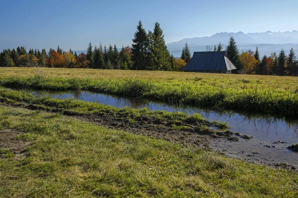 Bela Paisagem Outono Gorce Montanhas Tatra Polônia — Fotografia de Stock