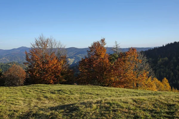 Красивый Осенний Горный Пейзаж — стоковое фото