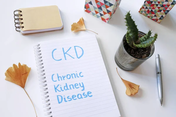 Ckd Chronische Nierziekte Geschreven Notebook Witte Tafel — Stockfoto