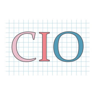 Kareli Kağıt kağıda yazılı CIO (baş bilgi subay)