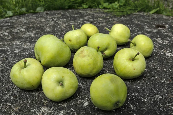 Manzanas Verdes Sobre Piedra — Foto de Stock