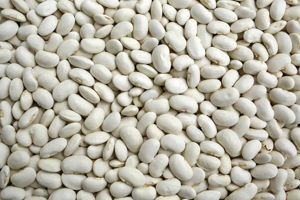 White Beans Background Texture — Stock Photo, Image