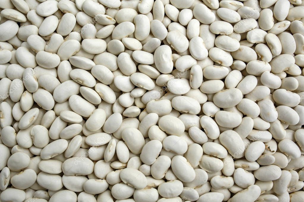 white beans background or texture