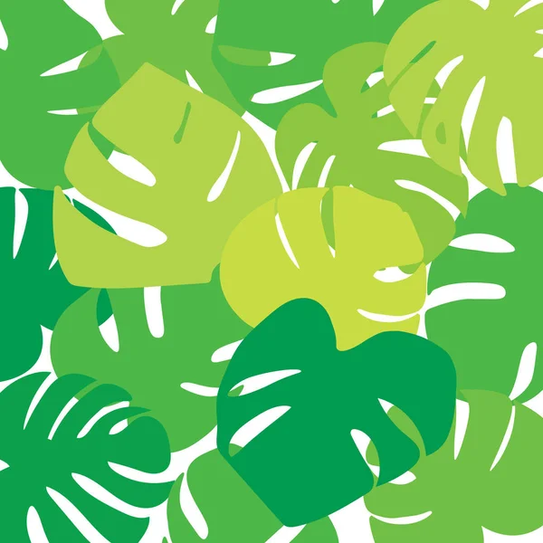 Feuilles Palmier Monstera Tropical Plant Backgrund Illustration Vectorielle — Image vectorielle