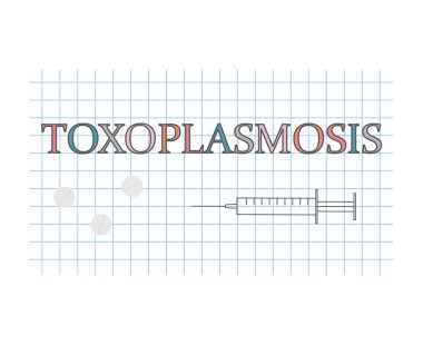 Toxoplasmosis word on checkered paper sheet- vector illustration clipart