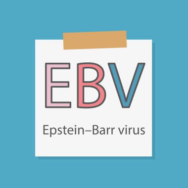 EBV EpsteinBarr virus written in a notebook paper- vector illustration clipart