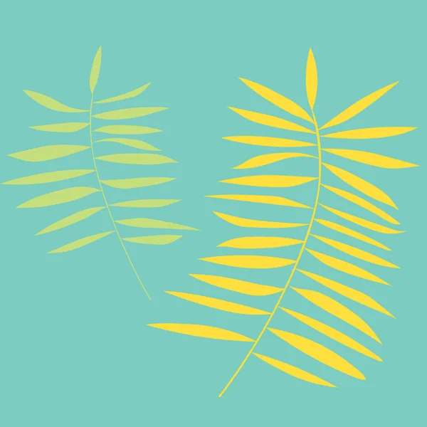 Folhas Palmeira Planta Tropical Vetor Ilustração —  Vetores de Stock