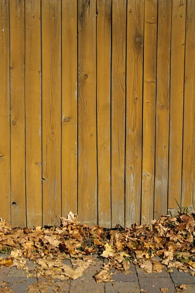 Żółty Drewniany Płot Jesiennych Liści — Zdjęcie stockowe