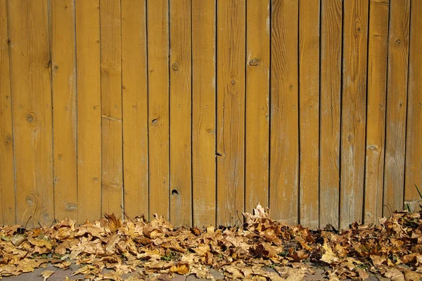 Żółty Drewniany Płot Jesiennych Liści — Zdjęcie stockowe
